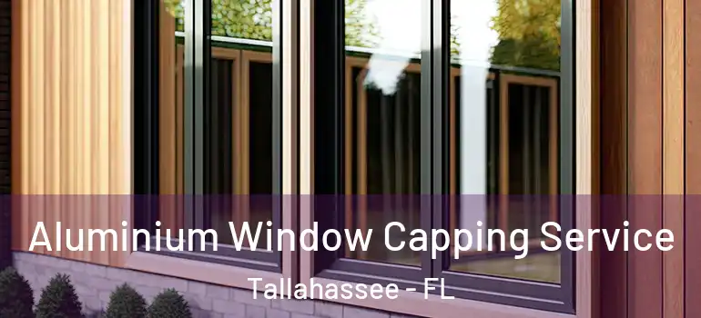  Aluminium Window Capping Service Tallahassee - FL