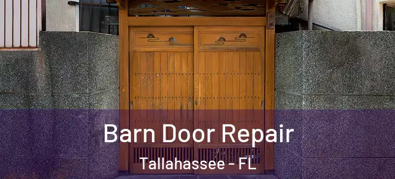  Barn Door Repair Tallahassee - FL