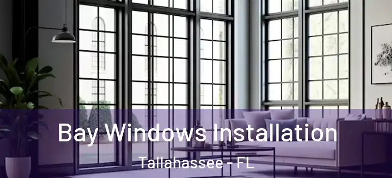  Bay Windows Installation Tallahassee - FL