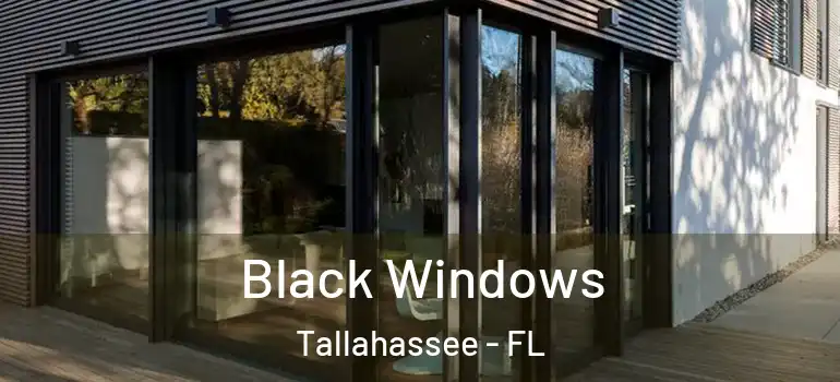  Black Windows Tallahassee - FL
