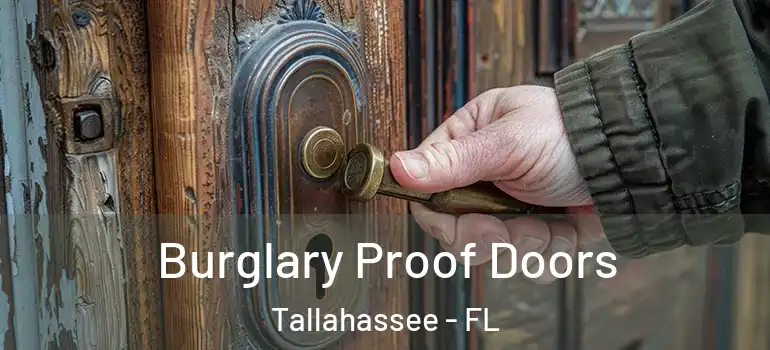  Burglary Proof Doors Tallahassee - FL
