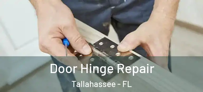  Door Hinge Repair Tallahassee - FL