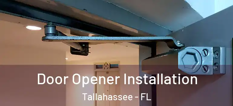  Door Opener Installation Tallahassee - FL