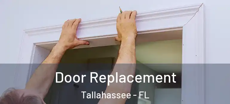  Door Replacement Tallahassee - FL