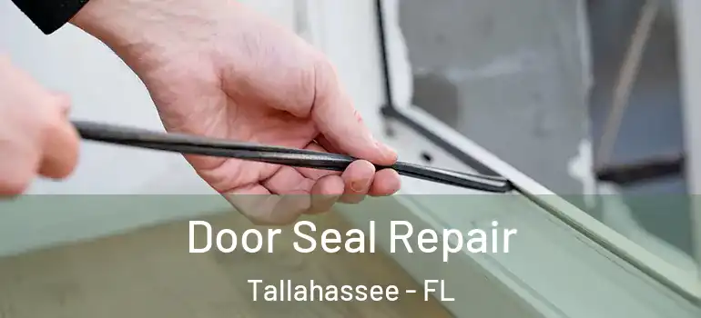  Door Seal Repair Tallahassee - FL