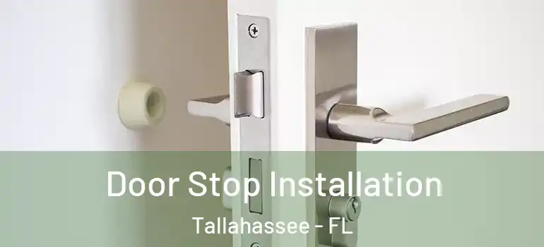  Door Stop Installation Tallahassee - FL