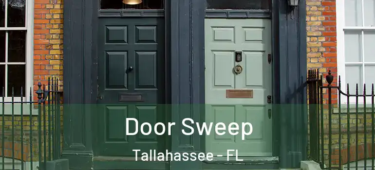  Door Sweep Tallahassee - FL