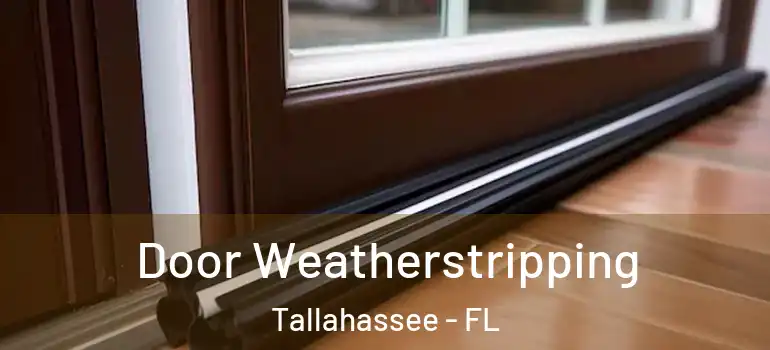  Door Weatherstripping Tallahassee - FL