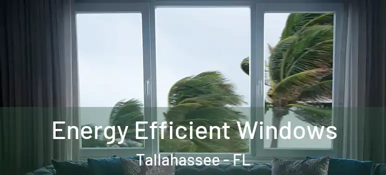  Energy Efficient Windows Tallahassee - FL