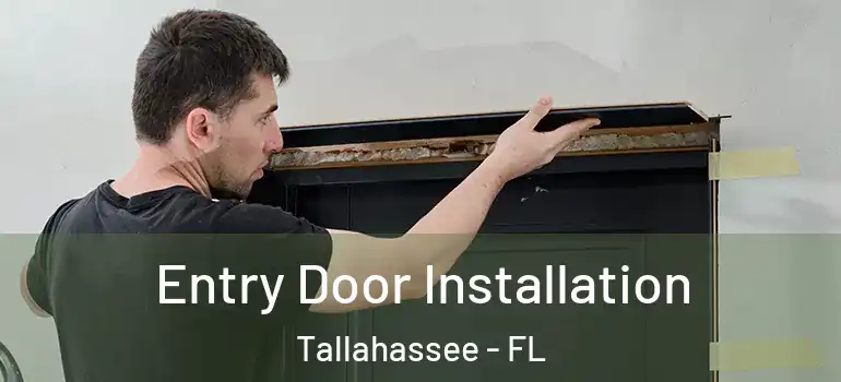  Entry Door Installation Tallahassee - FL