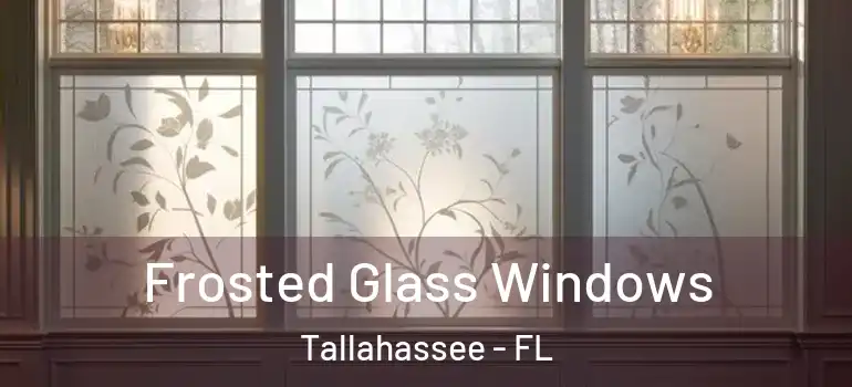 Frosted Glass Windows Tallahassee - FL