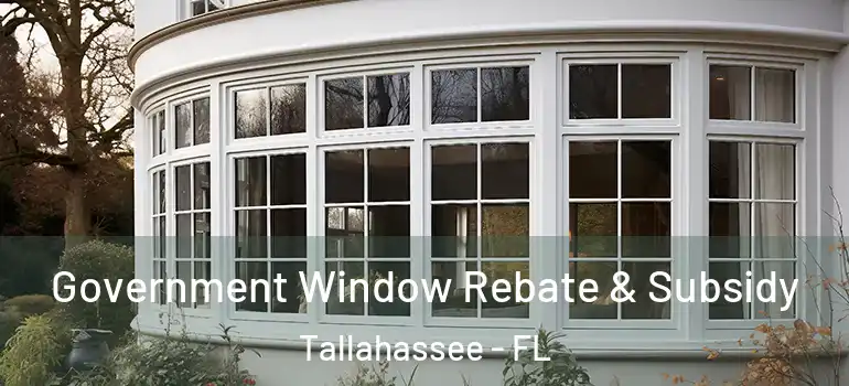  Government Window Rebate & Subsidy Tallahassee - FL