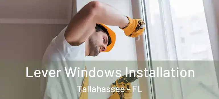  Lever Windows Installation Tallahassee - FL