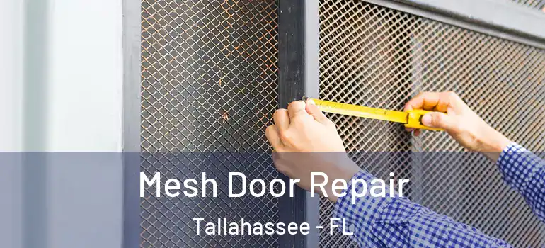  Mesh Door Repair Tallahassee - FL