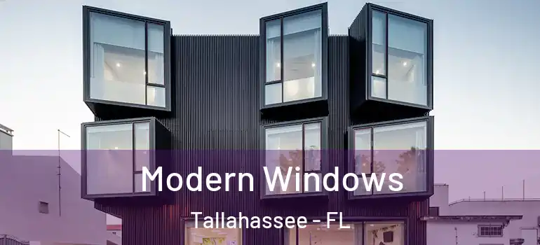  Modern Windows Tallahassee - FL