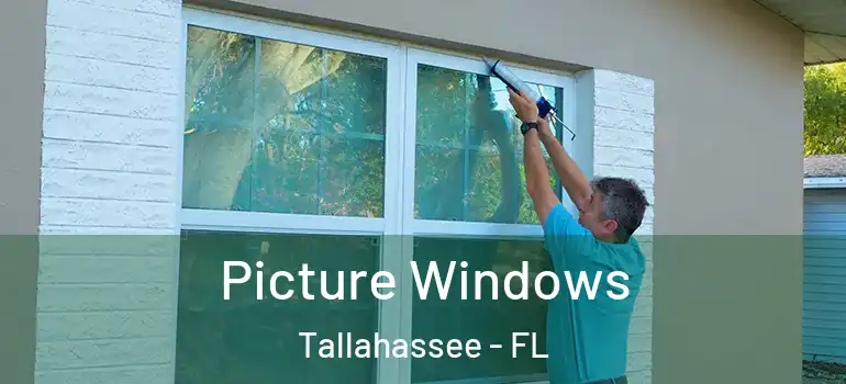  Picture Windows Tallahassee - FL