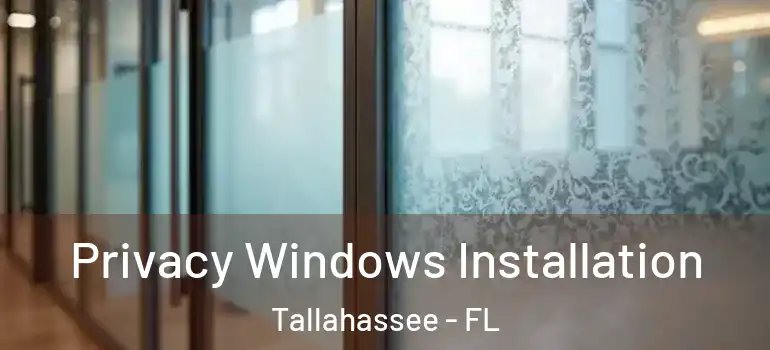  Privacy Windows Installation Tallahassee - FL