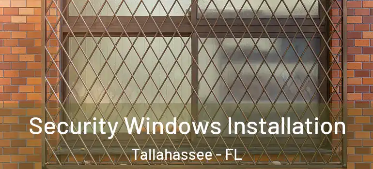  Security Windows Installation Tallahassee - FL