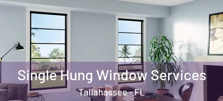  Single Hung Window Services Tallahassee - FL