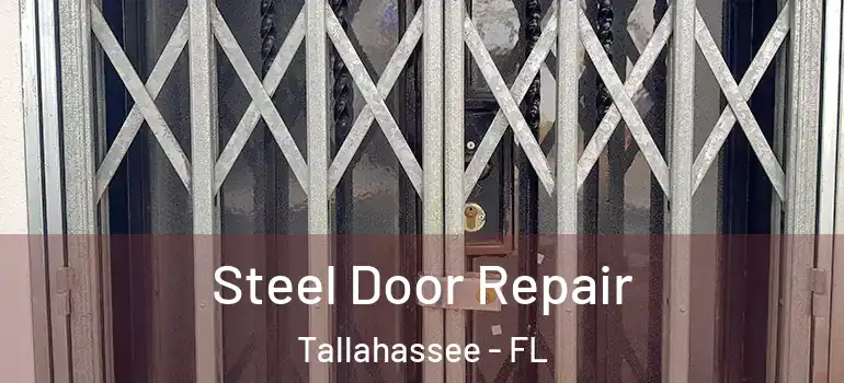  Steel Door Repair Tallahassee - FL