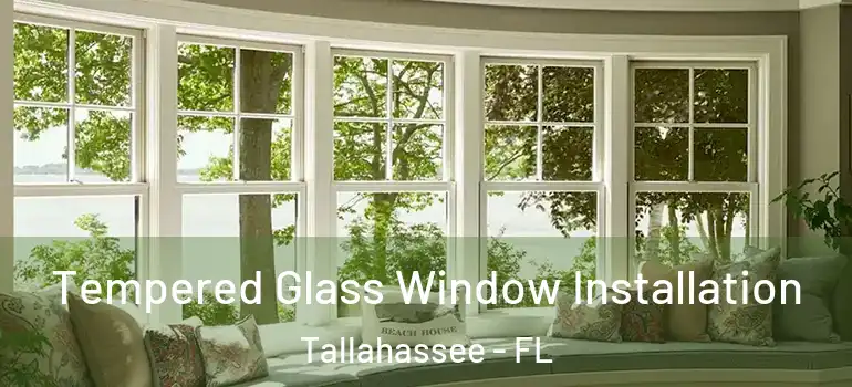  Tempered Glass Window Installation Tallahassee - FL
