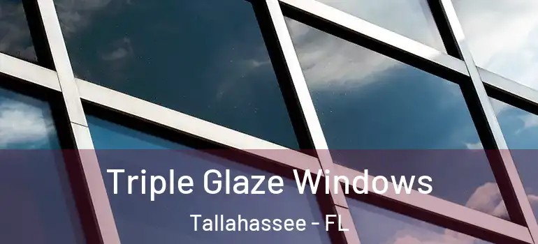  Triple Glaze Windows Tallahassee - FL