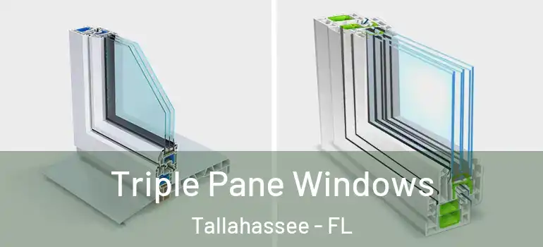  Triple Pane Windows Tallahassee - FL
