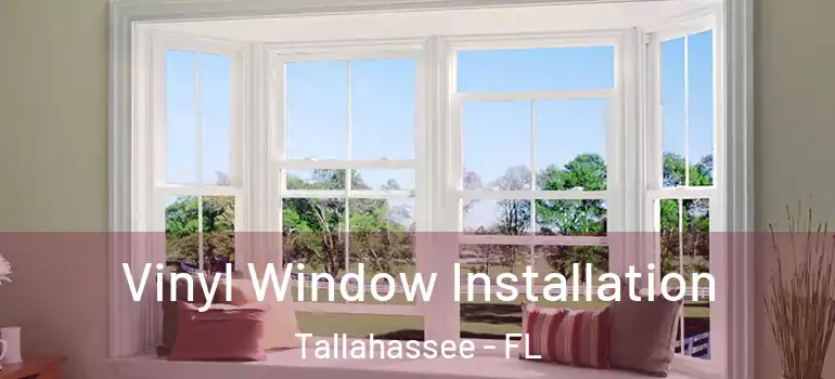  Vinyl Window Installation Tallahassee - FL