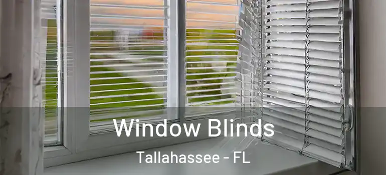  Window Blinds Tallahassee - FL