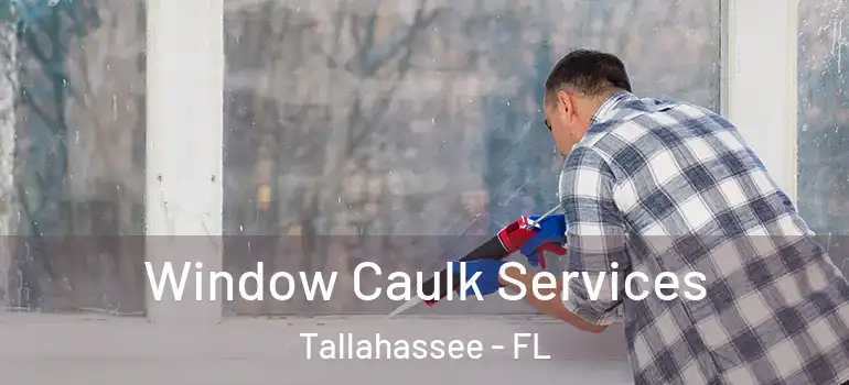  Window Caulk Services Tallahassee - FL
