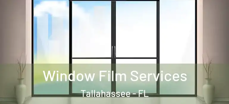  Window Film Services Tallahassee - FL