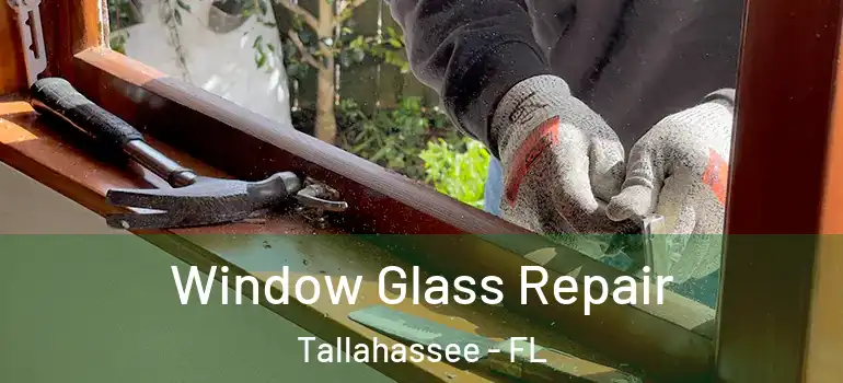  Window Glass Repair Tallahassee - FL