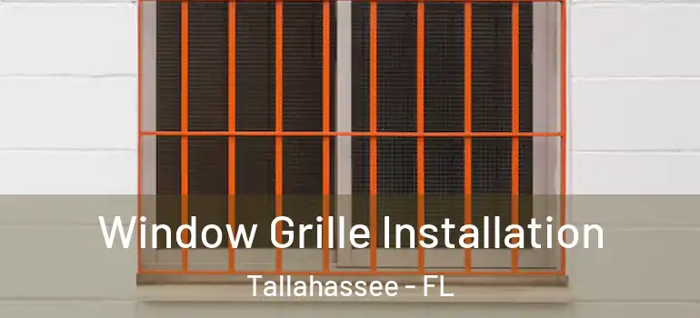  Window Grille Installation Tallahassee - FL