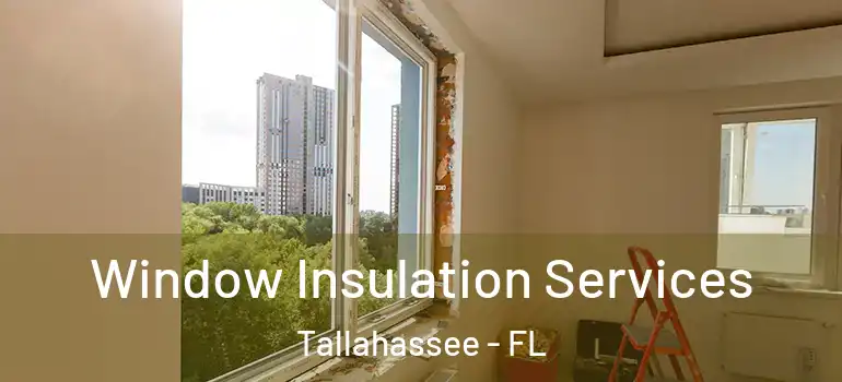  Window Insulation Services Tallahassee - FL