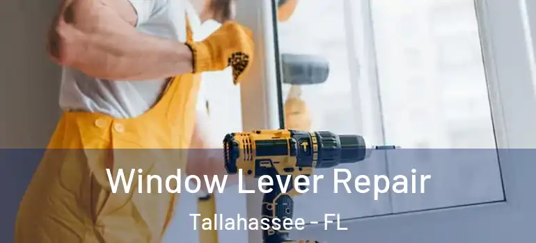  Window Lever Repair Tallahassee - FL