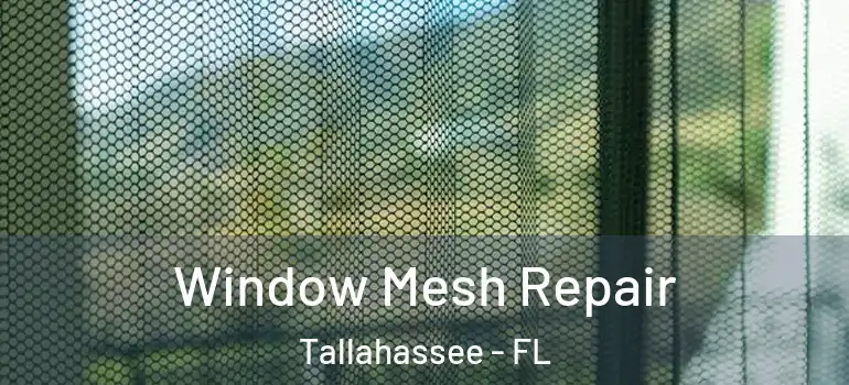  Window Mesh Repair Tallahassee - FL