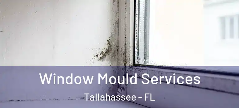  Window Mould Services Tallahassee - FL