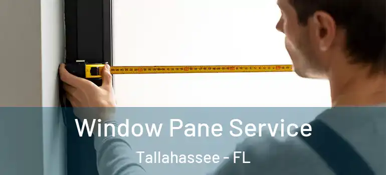  Window Pane Service Tallahassee - FL