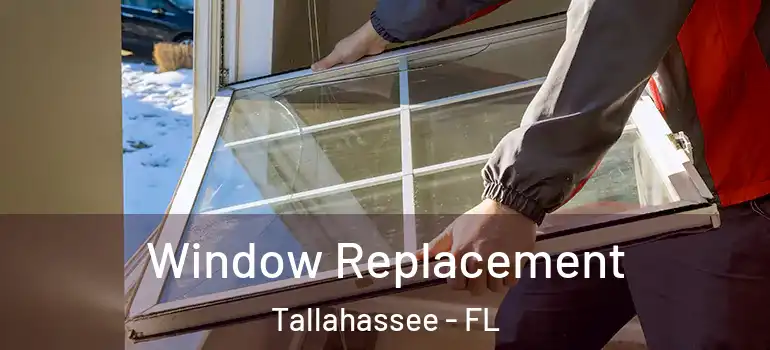  Window Replacement Tallahassee - FL
