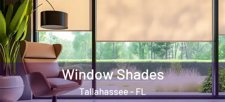  Window Shades Tallahassee - FL