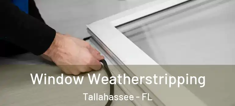  Window Weatherstripping Tallahassee - FL