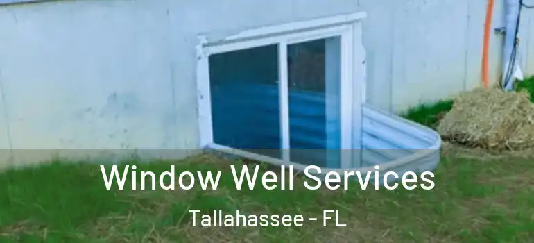  Window Well Services Tallahassee - FL